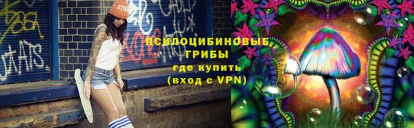 прущая мука Абаза