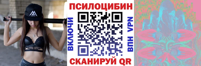 hydra ссылки Нижняя Тура Псилоцибиновые грибы Psilocybine cubensis